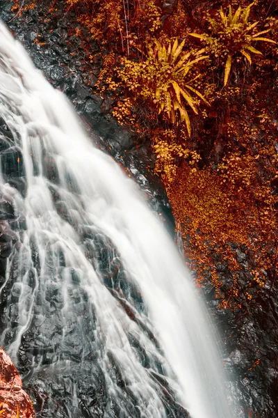 Schöner wasserfall in königsland — Stockfoto