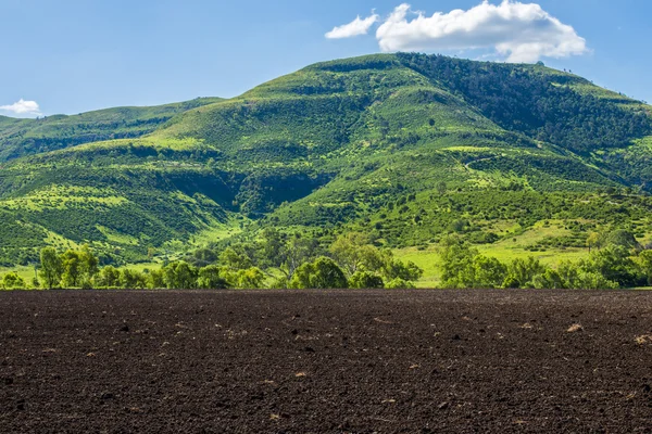 Landwirtschaftlicher und landwirtschaftlicher Bereich im Outback — Stockfoto