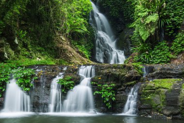 Beautiful Waterfall in Lamington National Park clipart