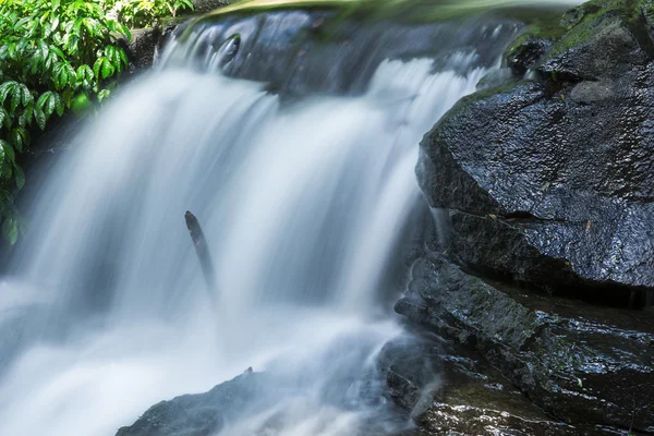 Nádherný vodopád v národním parku Lamington — Stock fotografie