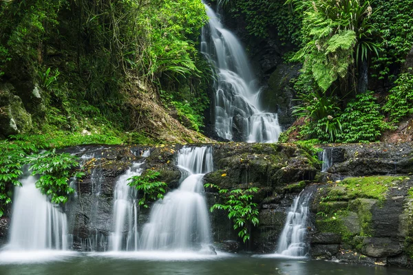 Schöner Wasserfall im Lamington Nationalpark — Stockfoto