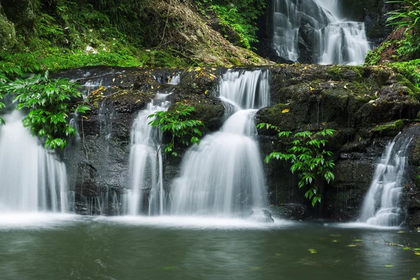 Cachoeira bonita em Lamington National Park — Fotografia de Stock