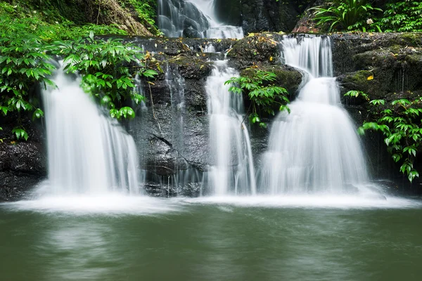 Hermosa cascada en el Parque Nacional Lamington — Foto de Stock