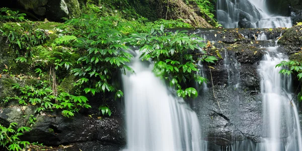 Schöner Wasserfall im Lamington Nationalpark — Stockfoto