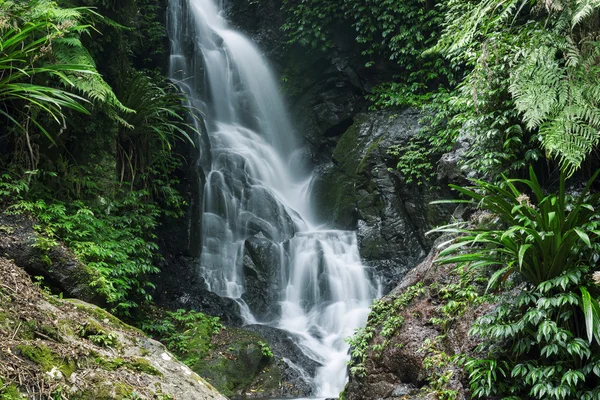 Nádherný vodopád v národním parku Lamington — Stock fotografie