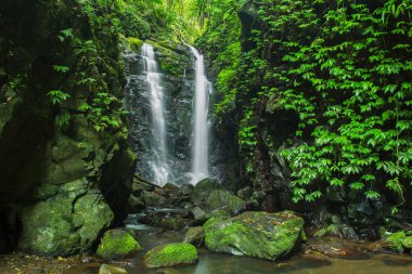Lamington Ulusal par güzel şelale