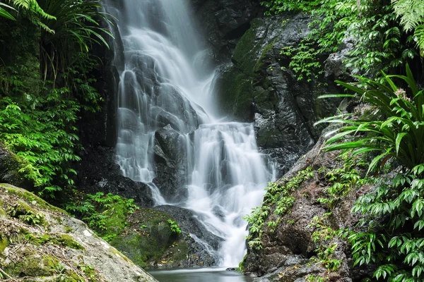 拉明顿国家 Par 的美丽瀑布 — 图库照片
