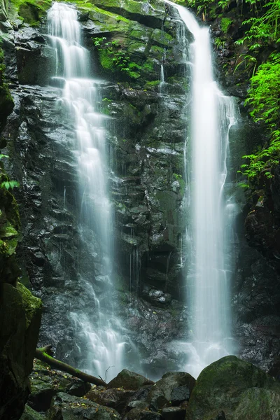 Schöner Wasserfall in Lamington National Par — Stockfoto