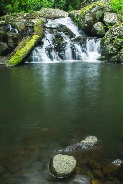 Piękny wodospad w Narodowym Lamington Par — Zdjęcie stockowe