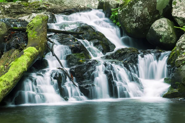 Schöner Wasserfall in Lamington National Par — Stockfoto