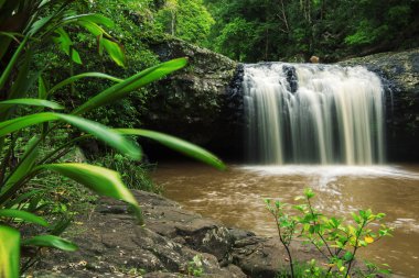 Dudak dudak Falls'ta Beechmont düşüyor