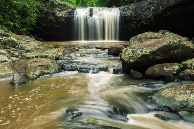 Dudak dudak Falls'ta Beechmont düşüyor