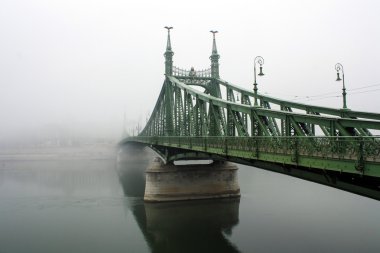 Özgürlük Köprüsü Budapeşte