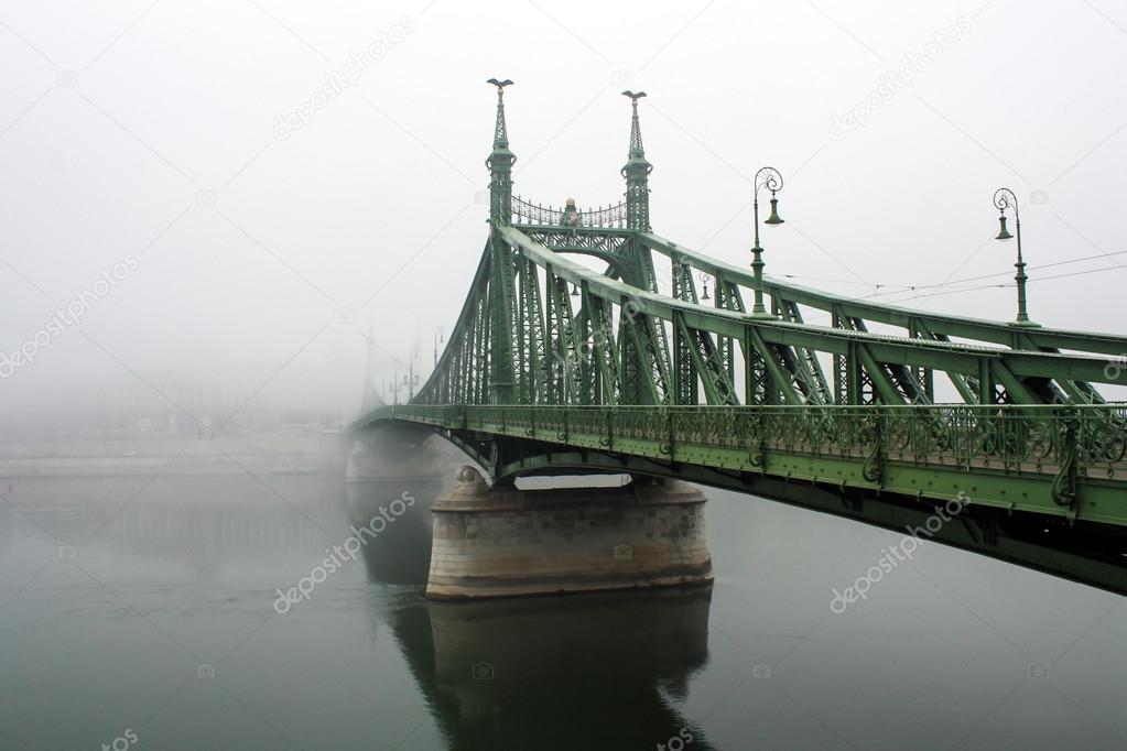 Liberty Bridge Budapest