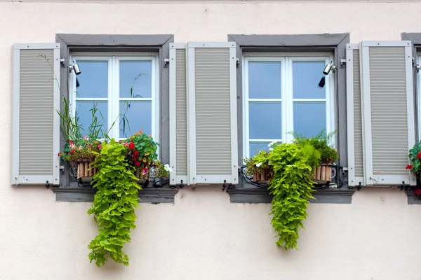 Ventanas francesas antiguas — Foto de Stock