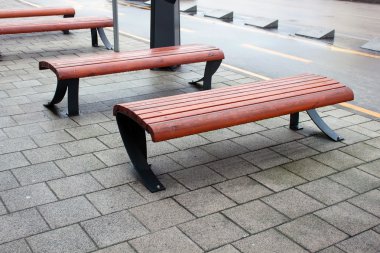 Yeni park bankında