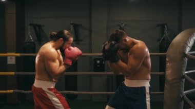 Boks ringinde dövüşen İspanyol sakallı boksörlerin yavaş çekimleri. 