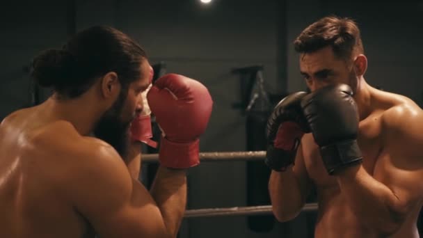 Câmera Lenta Boxeador Hispânico Soco Adversário Barbudo Anel Boxe — Vídeo de Stock