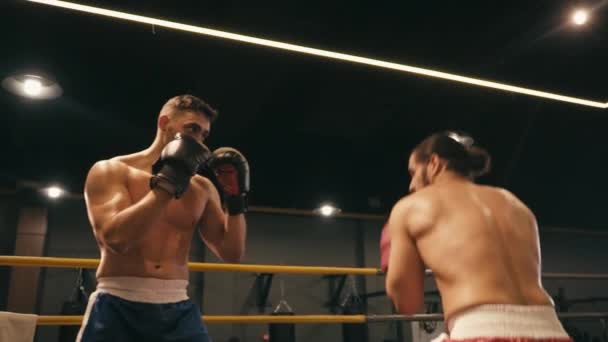 Sakallı Spanyol Boksörlerin Boks Ringinde Ağır Çekimde Dövüşmesi — Stok video