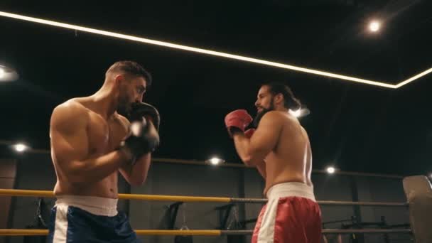 Cámara Lenta Boxeadores Hispanos Musculosos Luchando Ring Boxeo — Vídeos de Stock