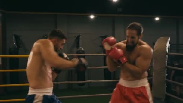 Sem Camisa Hispânico Barbudo Boxers Lutando Ringue Boxe — Vídeo de Stock