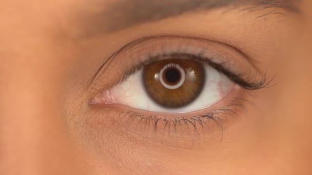 Cropped View Woman Brown Eye Looking Camera — Stock Video