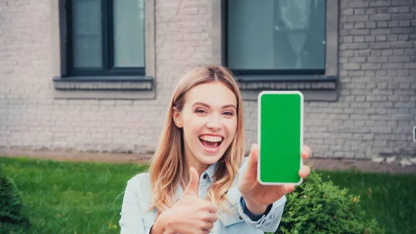 Estudante Alegre Segurando Smartphone Borrado Com Tela Verde Mostrando Polegar — Fotografia de Stock