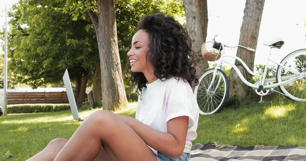 Giovane Afro Americano Freelance Sorridente Utilizzando Computer Portatile Nel Parco — Foto Stock