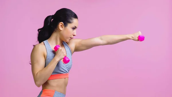 Side View Strong Young Sportswoman Working Out Dumbbells Isolated Pink — Stock Photo, Image