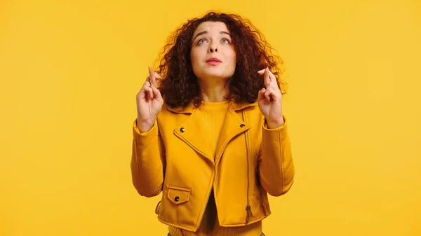 Jeune femme bouclée aux doigts croisés faisant vœu et levant les yeux isolés sur jaune — Photo de stock