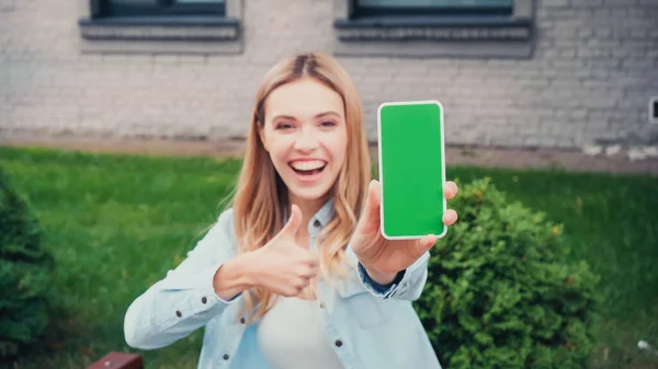 Blurred and cheerful student holding smartphone with green screen while showing thumb up near building — Stock Photo