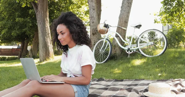 Complacido freelancer afroamericano usando laptop en parque - foto de stock