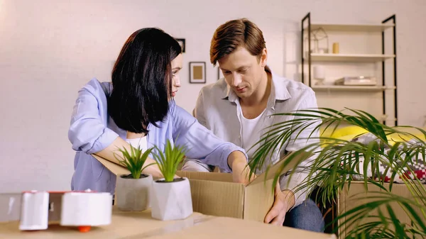Jovem mulher olhando para namorado e caixa de embalagem perto de plantas — Fotografia de Stock
