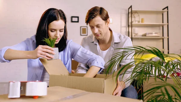 Junge Frau verpackt Pflanze in Schachtel neben Freund — Stockfoto