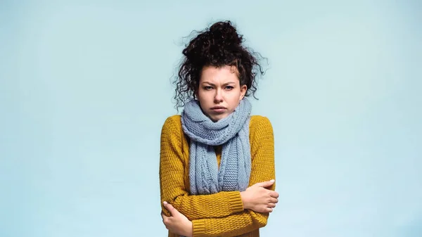 Замораживающая женщина в тёплом свитере и шарфе смотрит на камеру, изолированную на голубом — стоковое фото