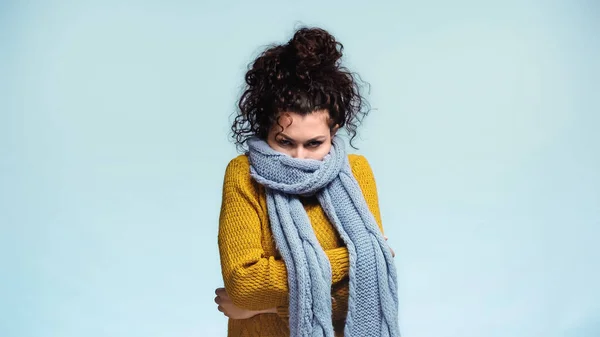 Congelato donna nascondendo faccia in caldo sciarpa isolato su blu — Foto stock