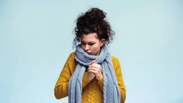 Donna in caldo sciarpa e maglione in piedi con le mani serrate isolato su blu — Foto stock