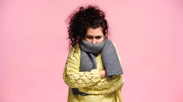 Frozen woman in warm scarf and knitted sweater standing with crossed arms isolated on pink — Stock Photo