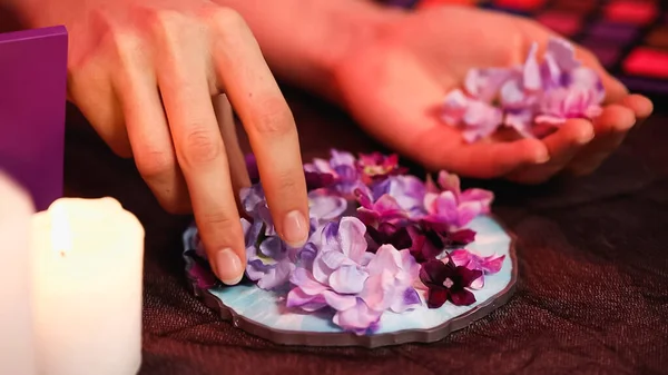 Cropped view of woman taking blooming flowers in hands — Stock Photo