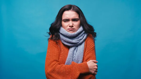 Толстая и замёрзшая женщина в теплом шарфе обнимает себя изолированной на голубом — стоковое фото