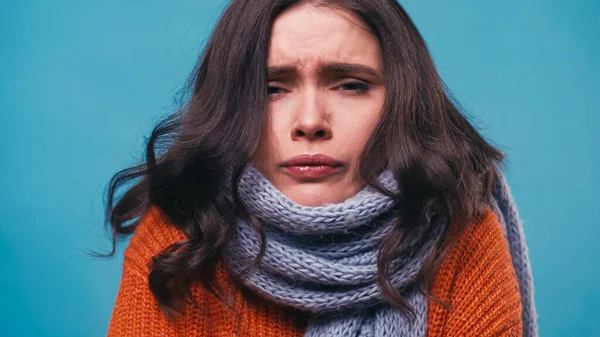 Kranke Frau in warmem Schal blickt in die Kamera, während sie Schmerzen im Hals hat, isoliert auf blauem Grund — Stockfoto