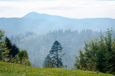Güneşli bir günde güzel bir dağ manzarası