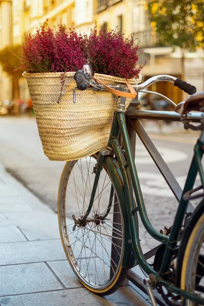 Bicycle at sunset — Stock Photo, Image