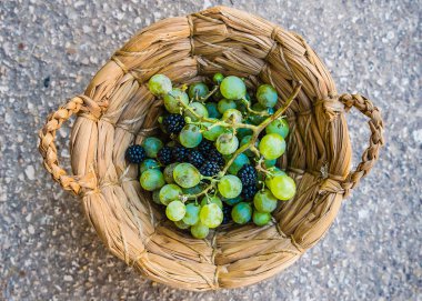 üzüm ve böğürtlen