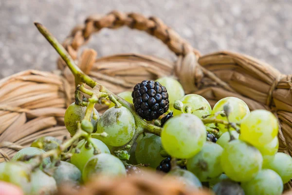 Виноград и ежевика — стоковое фото
