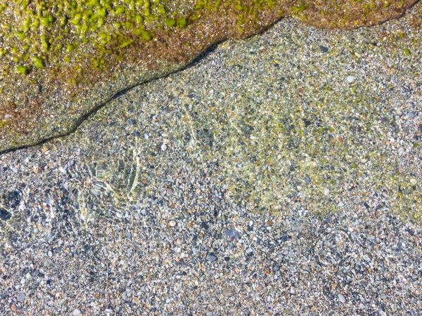 Havsvatten med hala gröna alger på en stenig strand — Stockfoto