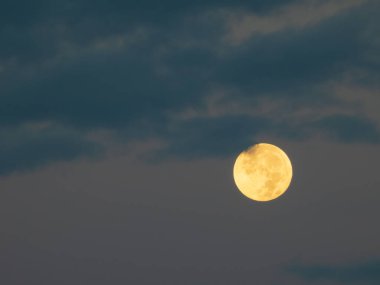 Dolunaya karşı şafak vakti gökyüzü ve bulutlar.