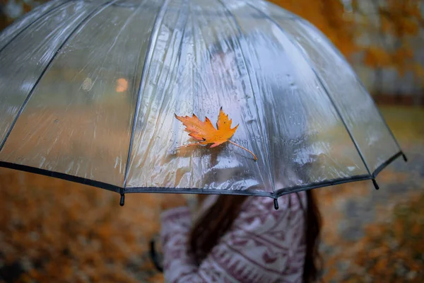 Pohled Ženu Zády Pod Deštníkem Procházející Parku Podzim — Stock fotografie