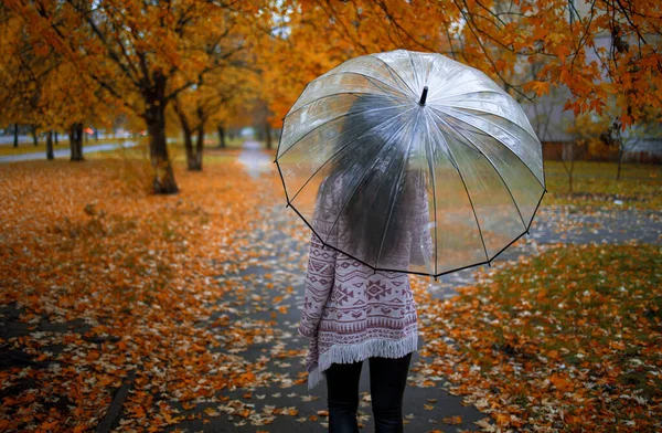一个背对着雨伞在公园散步的女人的照片 — 图库照片