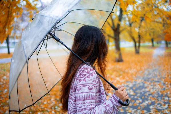 Látok Egy Nőt Háttal Egy Esernyő Alatt Sétálni Parkban Ősszel — Stock Fotó